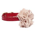 Louis Dog Flair Collar Red